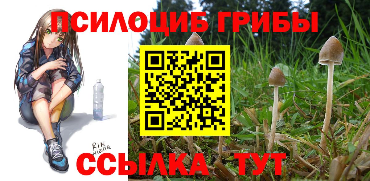 Галлюциногенные грибы Magic Shrooms  Вход с VPN  Ессентуки 