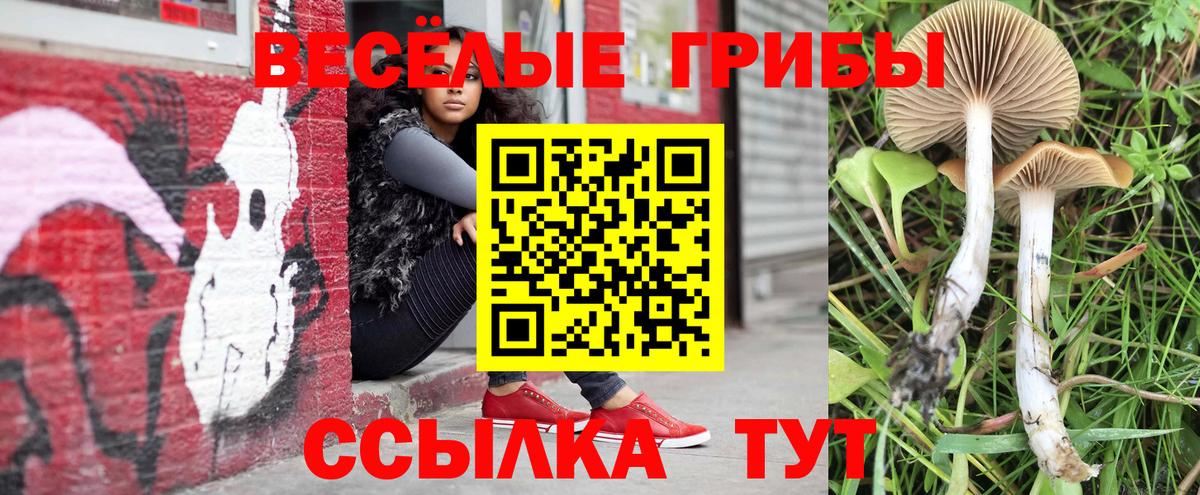 Галлюциногенные грибы MAGIC MUSHROOMS Ессентуки
